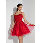 Eureka Lace bodice a-line tulle short gown 9727