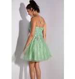 Eureka Lace bodice a-line tulle short gown 9727