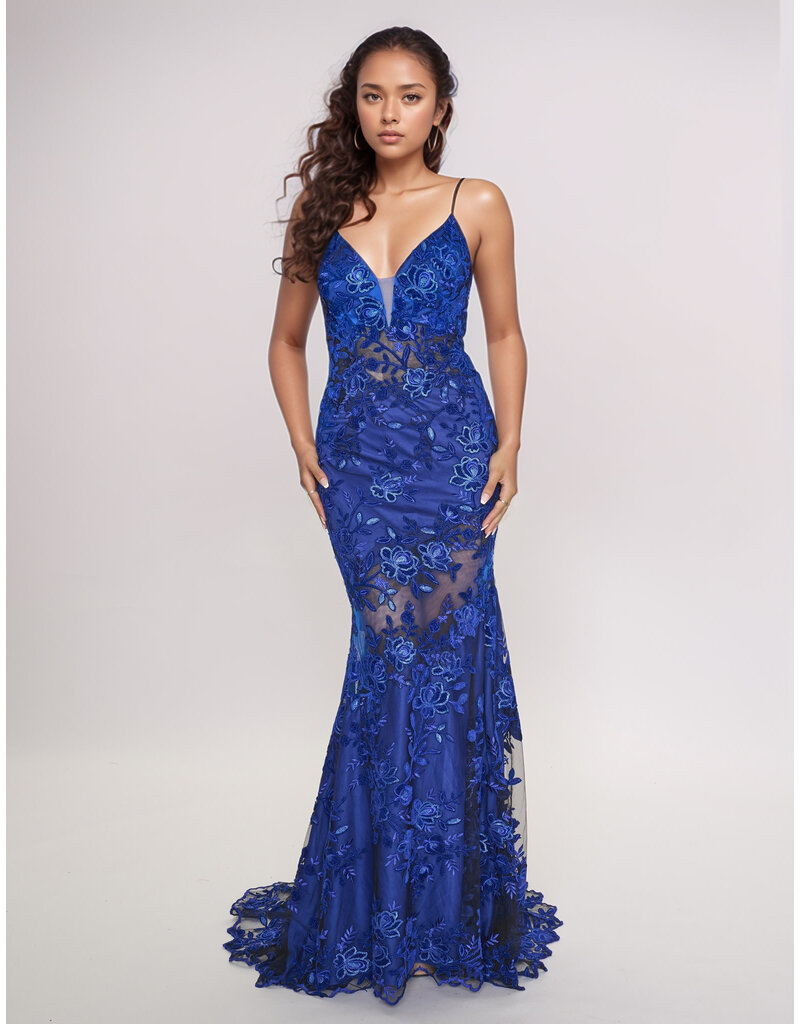 Fit n Flair, lace, see thru 2429