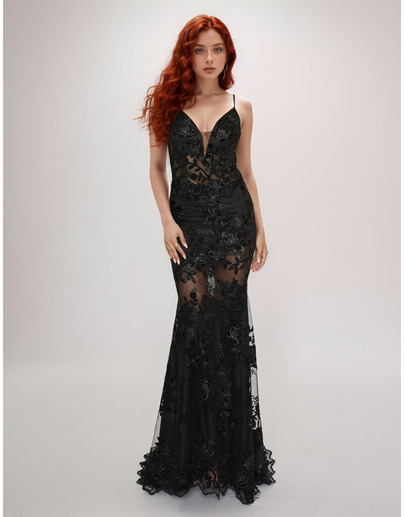 Fit n Flair, lace, see thru 2429