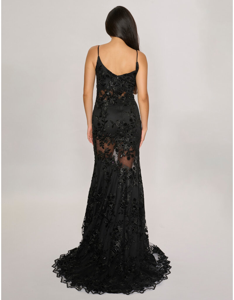 Fit n Flair, lace, see thru 2429