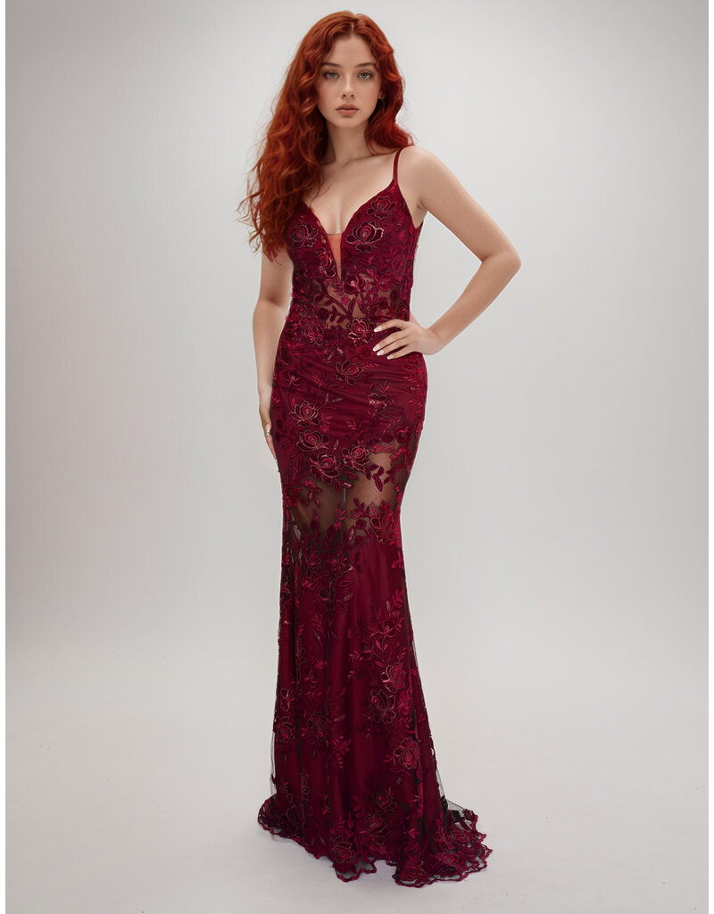 Fit n Flair, lace, see thru 2429