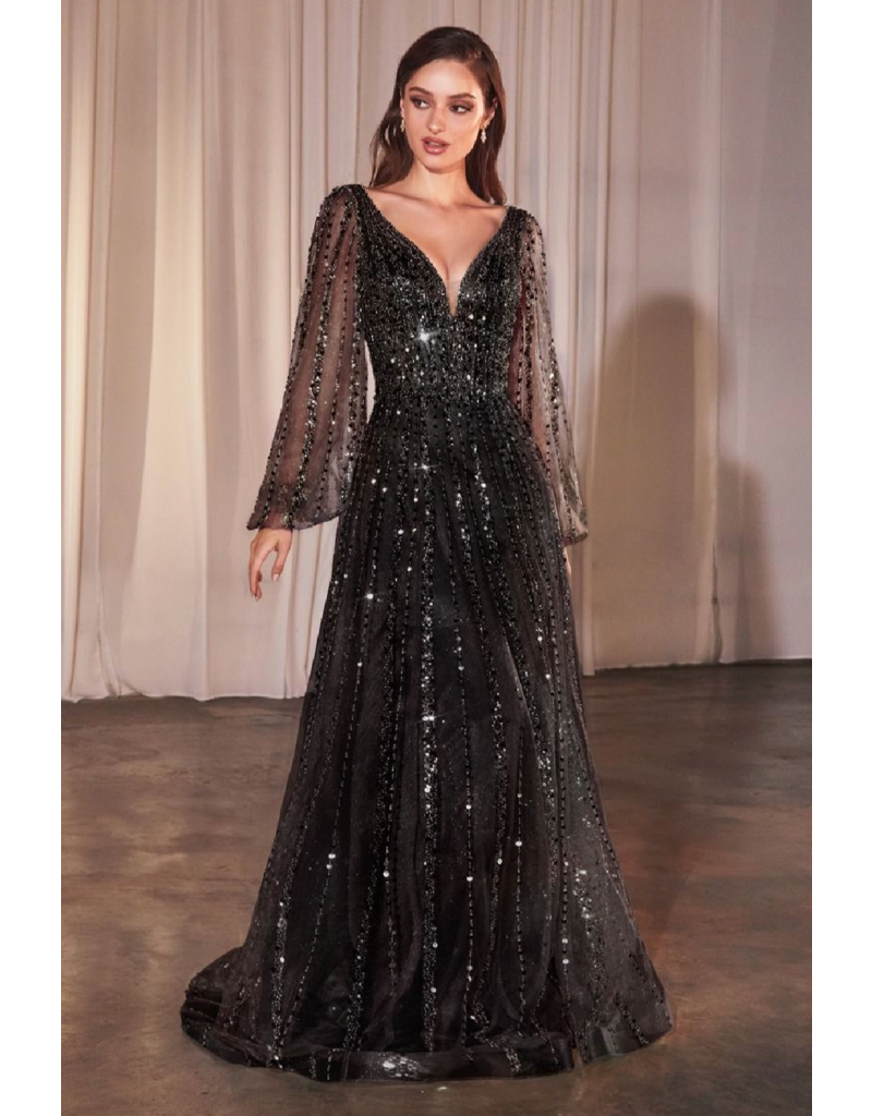 Ladivine Long sleeve beaded a-line tulle gown CD0240