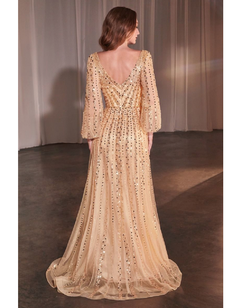 Ladivine Long sleeve beaded a-line tulle gown CD0240
