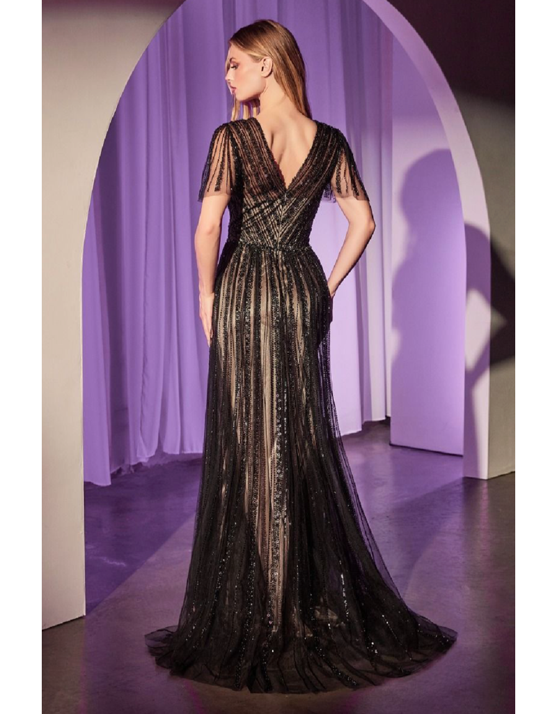 Ladivine Short sleeve beaded a-line tulle gown CD0241