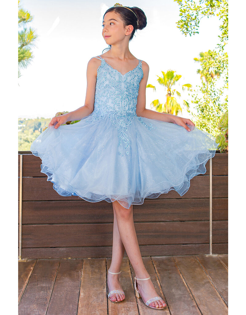 Double spaghetti rhinestone embroidered tulle dress 5125