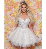 KATE PARKER A-LN, CRST BODICE, SWTHRT NCK LN, BEADED 3525969