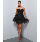 KATE PARKER A-LN, CRST BODICE, SWTHRT NCK LN, BEADED 3525969