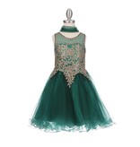 High sheer neck with gold embroidered waist and tulle shirt 5017