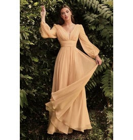 Long sleeve rouched chiffon a-line CD250192