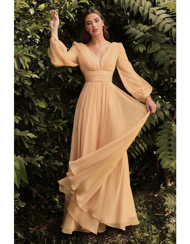Long sleeve rouched chiffon a-line CD250192