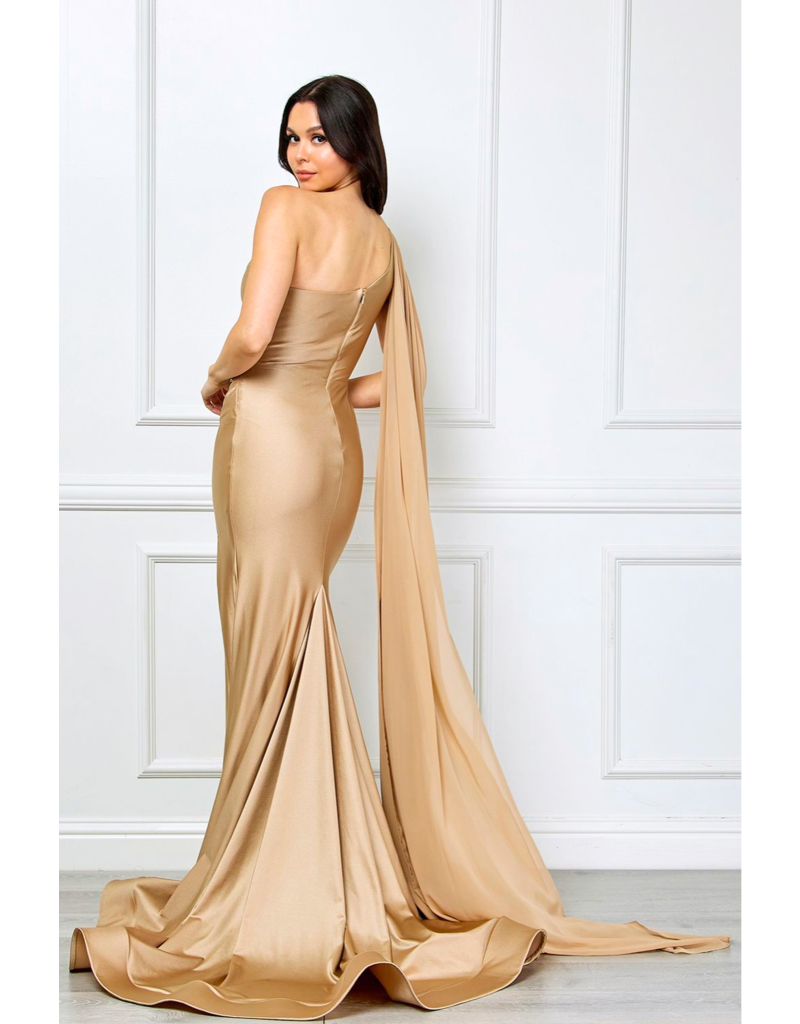 AMELIA COUTURE One shoulder fit & flare gown w/cape 702556
