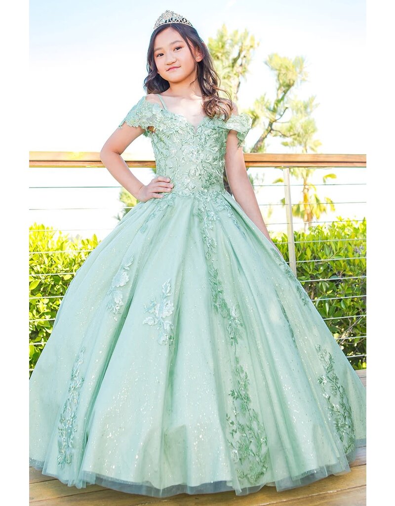 Off shoulder 3D flower Quince dress 8045