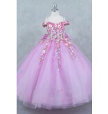 Off the shoulder embroidered tulle ballgown 8260