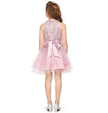 High neck embroidered sequin tulle gown 5100X