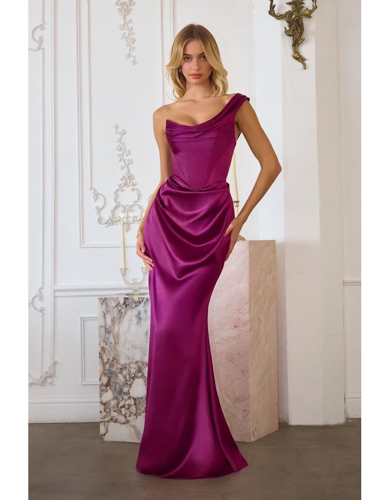 Ladivine One shoulder fitted rouched satin gown T727