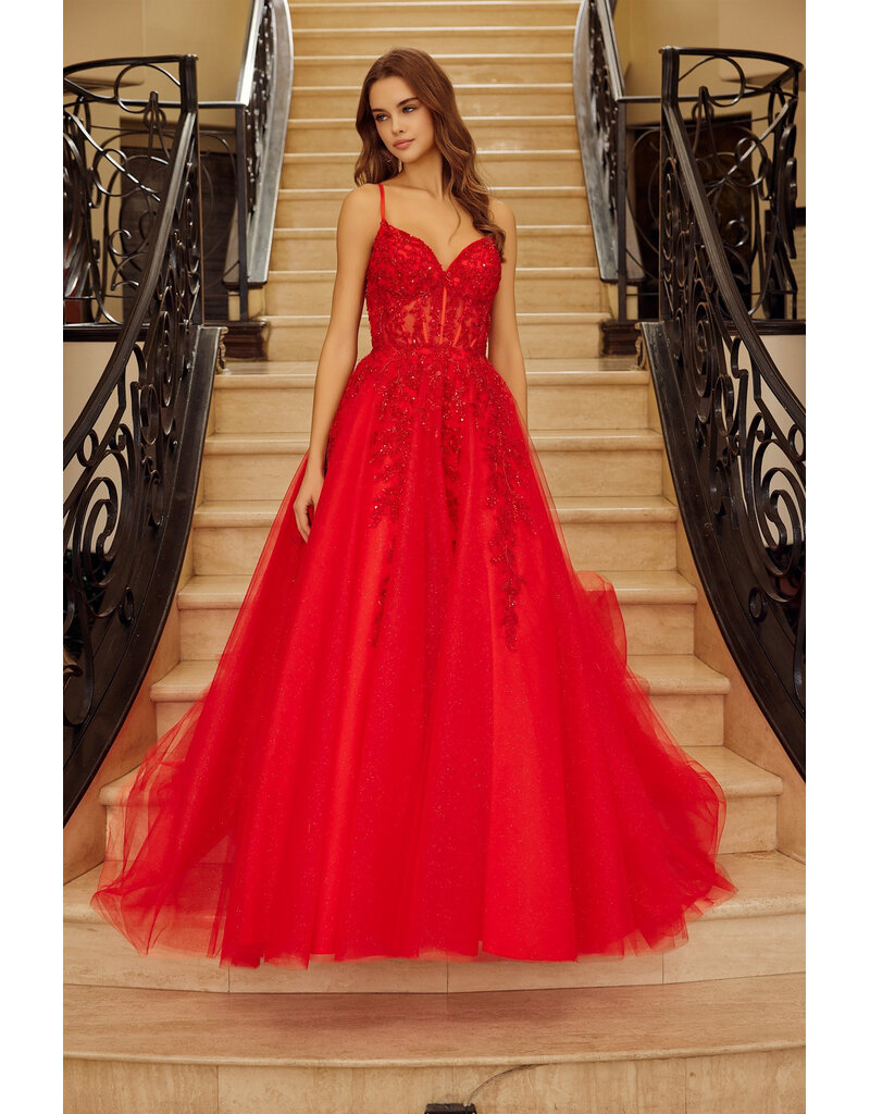 Spaghetti strap lace corset bodice ballgown H126883