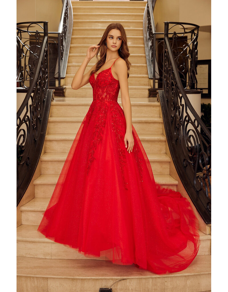 Spaghetti strap lace corset bodice ballgown H126883