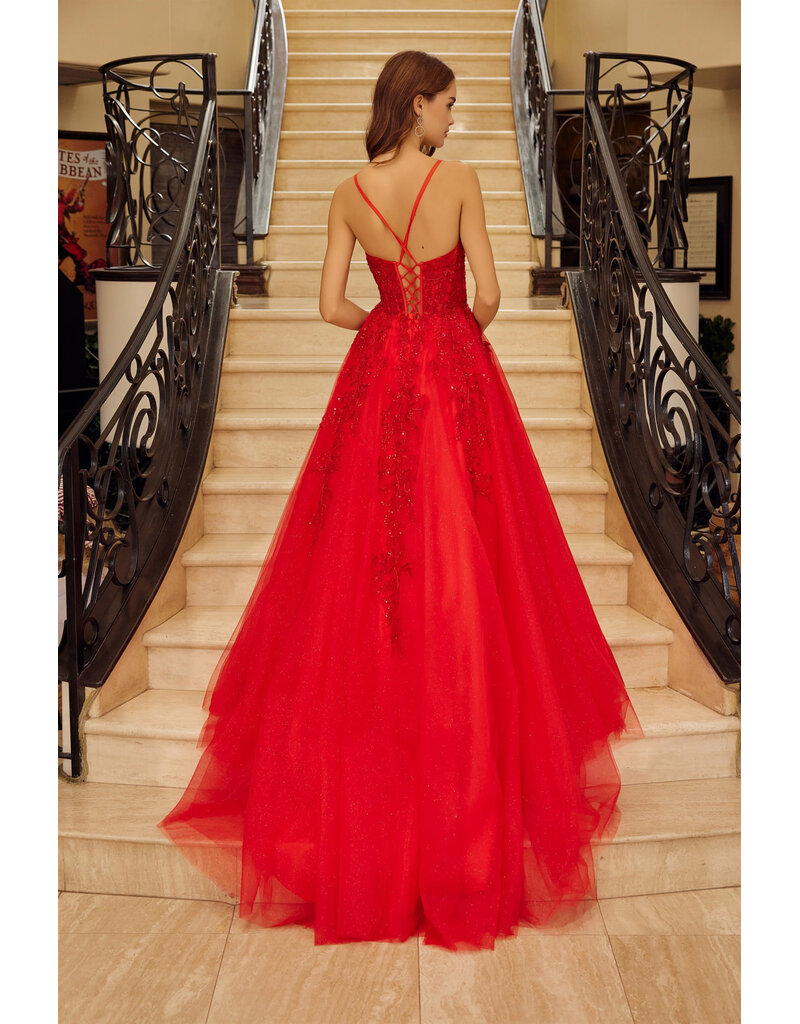 Spaghetti strap lace corset bodice ballgown H126883