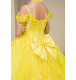 FLORAL APPLIQUE BALLGOWN 8415