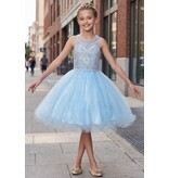 Ruffle tulle skirt with lace halter bodice 5065