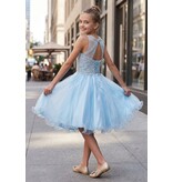 Ruffle tulle skirt with lace halter bodice 5065
