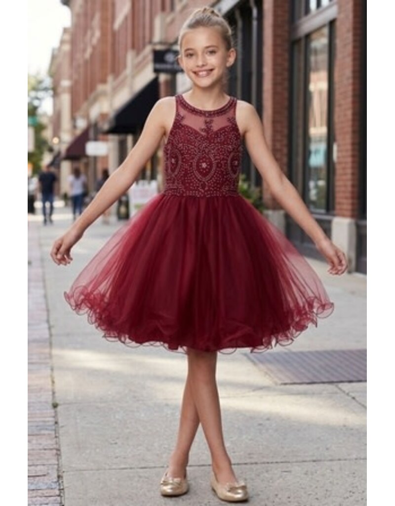 Ruffle tulle skirt with lace halter bodice 5065
