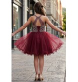 Ruffle tulle skirt with lace halter bodice 5065