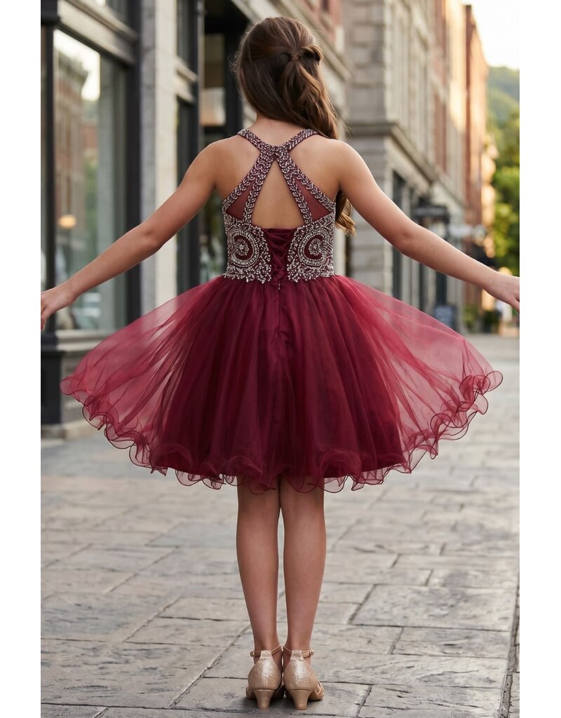 Ruffle tulle skirt with lace halter bodice 5065