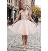 Ruffle tulle skirt with lace halter bodice 5065