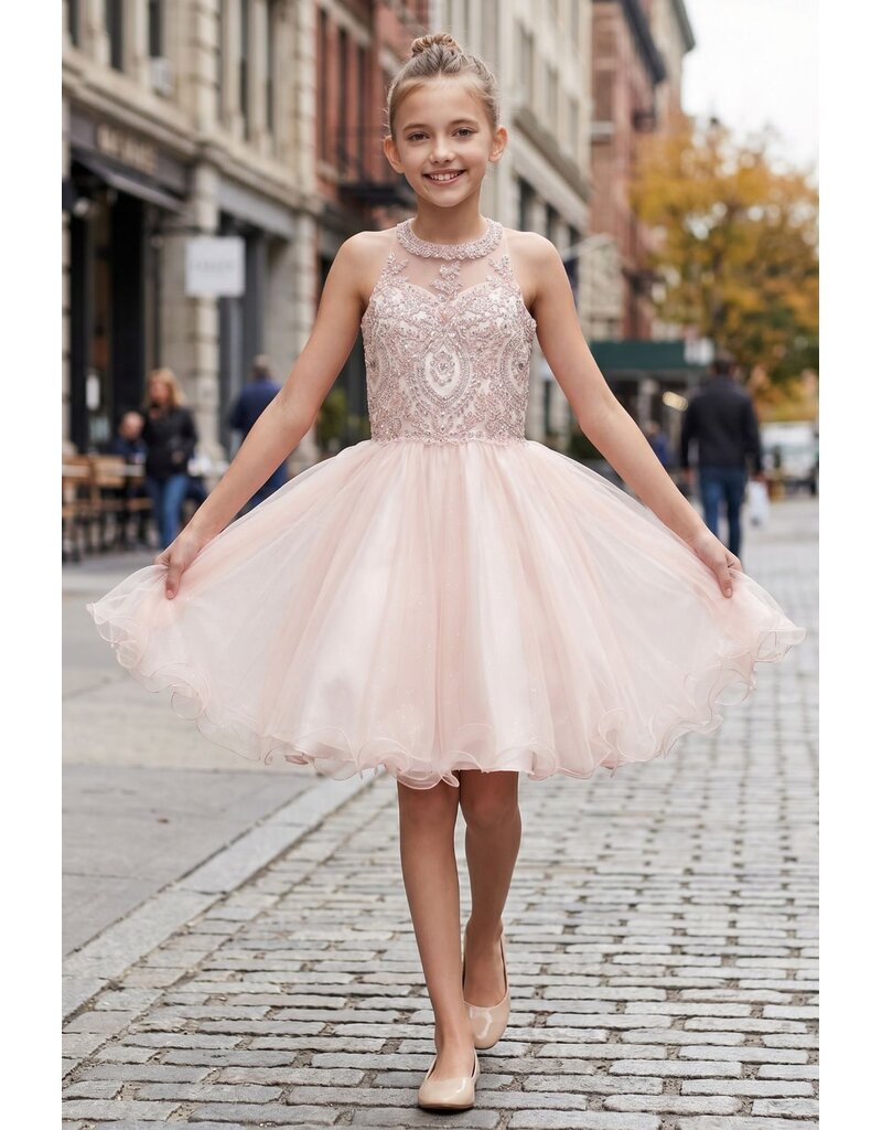 Ruffle tulle skirt with lace halter bodice 5065