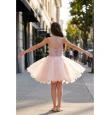 Ruffle tulle skirt with lace halter bodice 5065