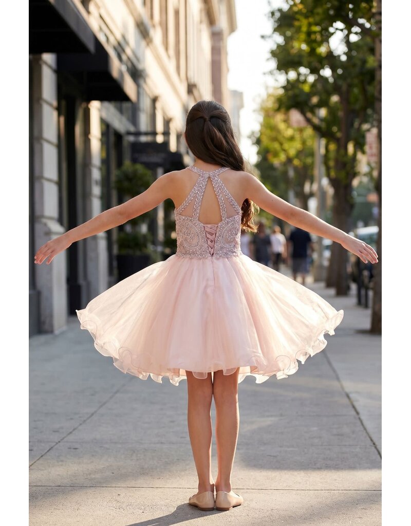 Ruffle tulle skirt with lace halter bodice 5065