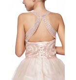Ruffle tulle skirt with lace halter bodice 5065