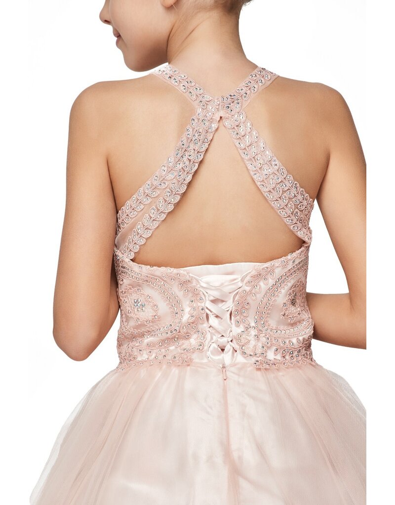 Ruffle tulle skirt with lace halter bodice 5065