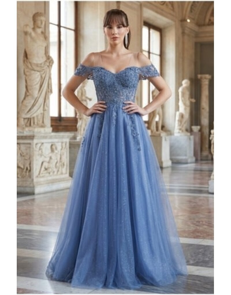 Off-shoulder embroidered a-line gown 8152J