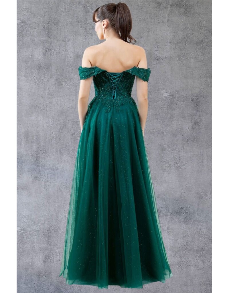 Off-shoulder embroidered a-line gown 8152J