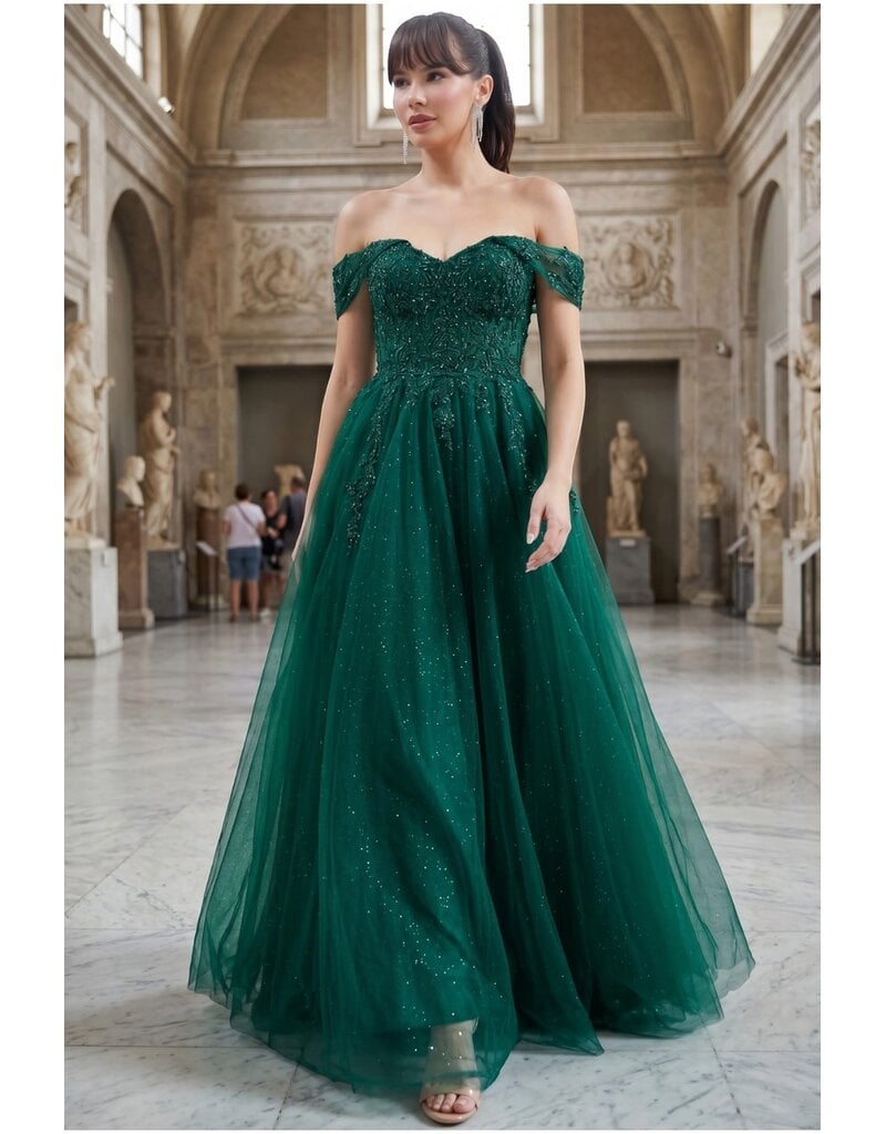 Off-shoulder embroidered a-line gown 8152J