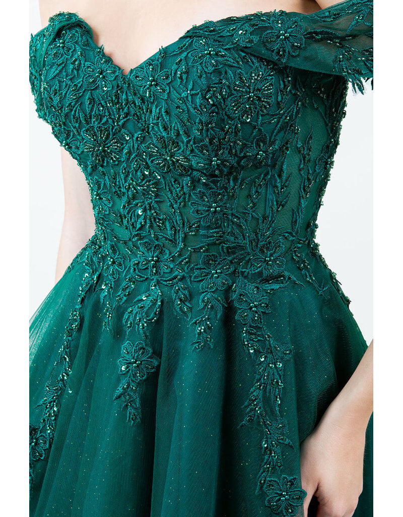 Off-shoulder embroidered a-line gown 8152J