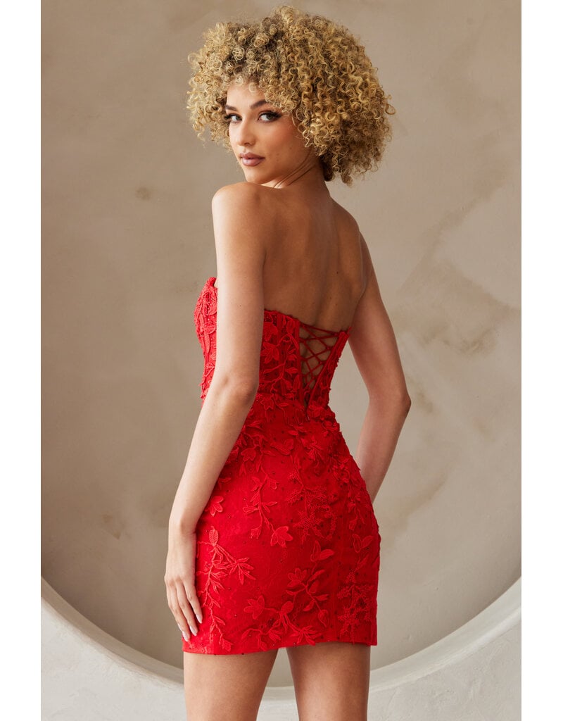 AMELIA COUTURE Strapless lace fitted dress 702653S