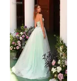 Strapless beaded floral corset bodice tulle ballgown 6226135