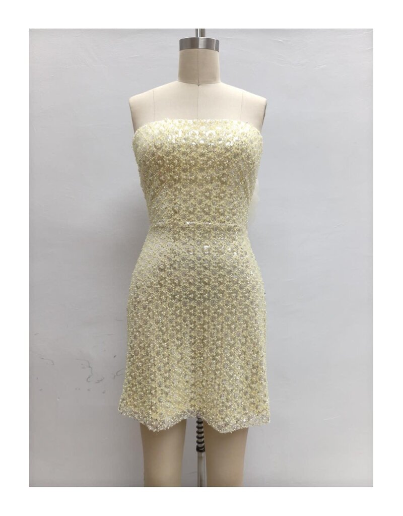 LOVESOME Strapless beaded tie back short gown CD2630355