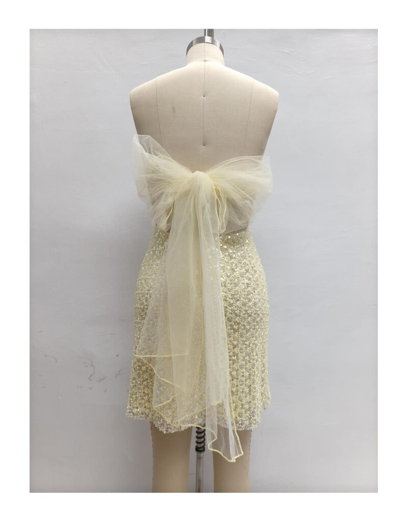 LOVESOME Strapless beaded tie back short gown CD2630355