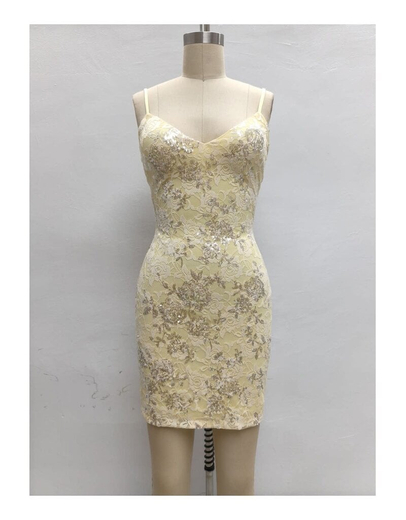LOVESOME Sequin lace fitted corset back mini CD26559521