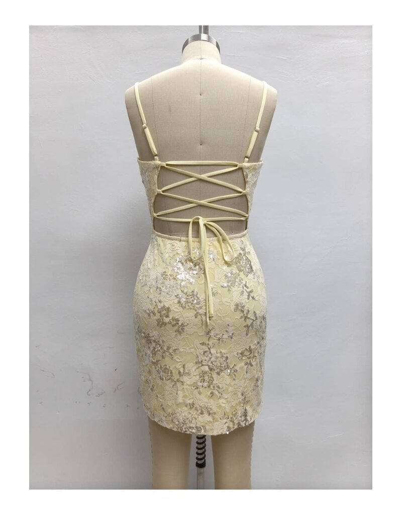 LOVESOME Sequin lace fitted corset back mini CD26559521