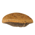 Bitters Co Cork Bowl Burl Medium