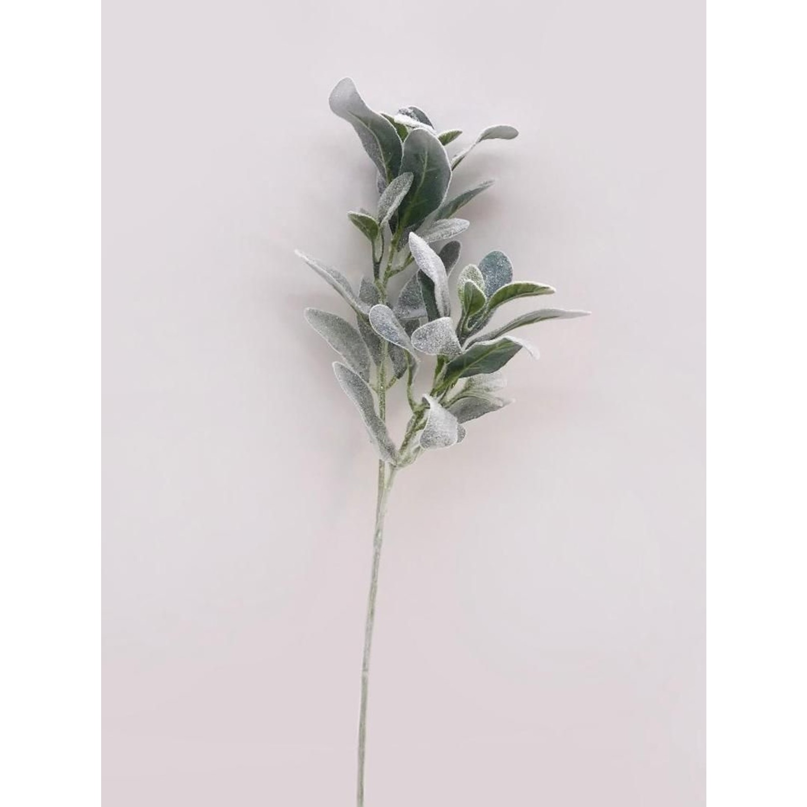 Sherri's Designs Frosted Lambs Ear Green 26" Stem