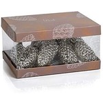 Zodax LED Silver Pinecone Glass Ornament String Lights