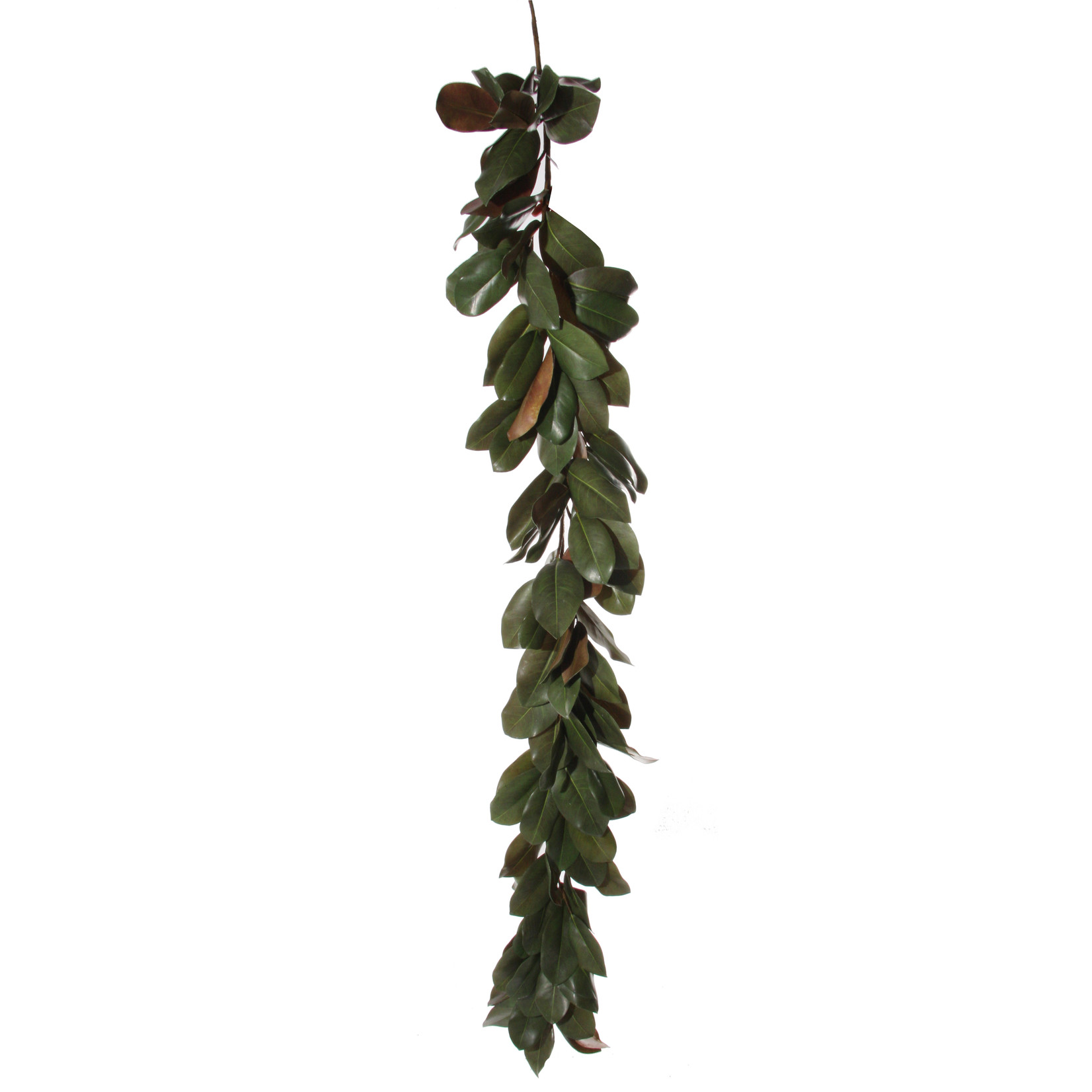 Shishi LLC Green Magnolia Garland 70.8"