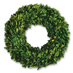 Napa Home and Garden Boxwood Wreath 16" Preserved English